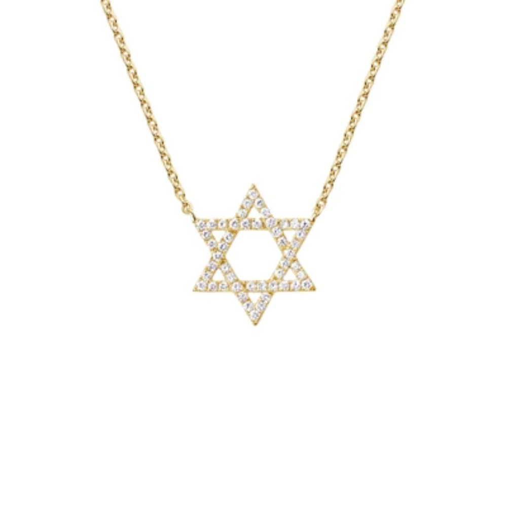 100 Diamonds Star Of David 14K (or 18k upon request) Gold Necklace
